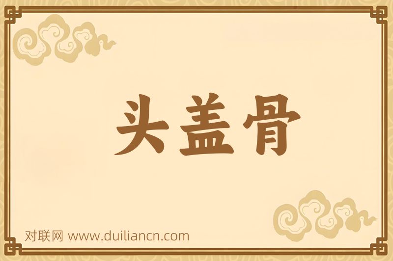 头盖骨词语的意思
