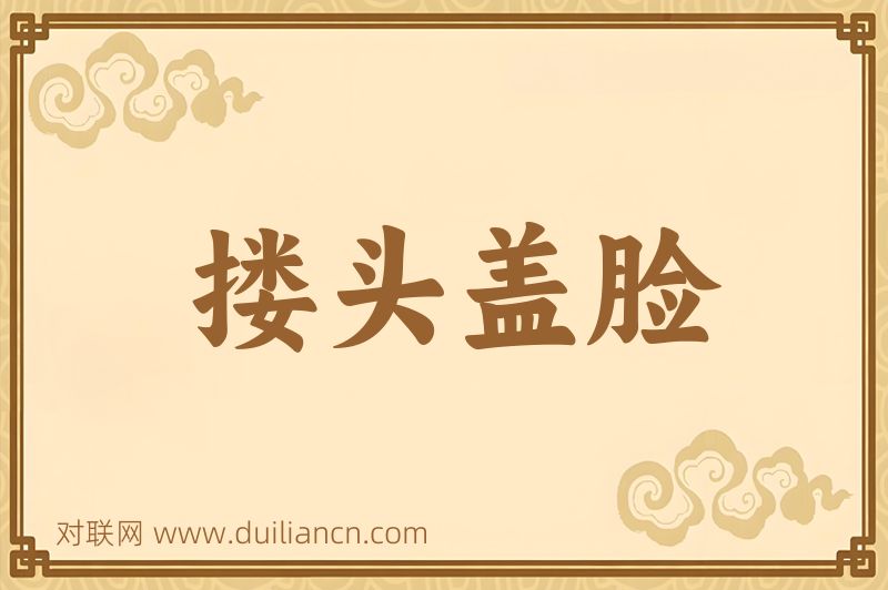搂头盖脸词语的意思
