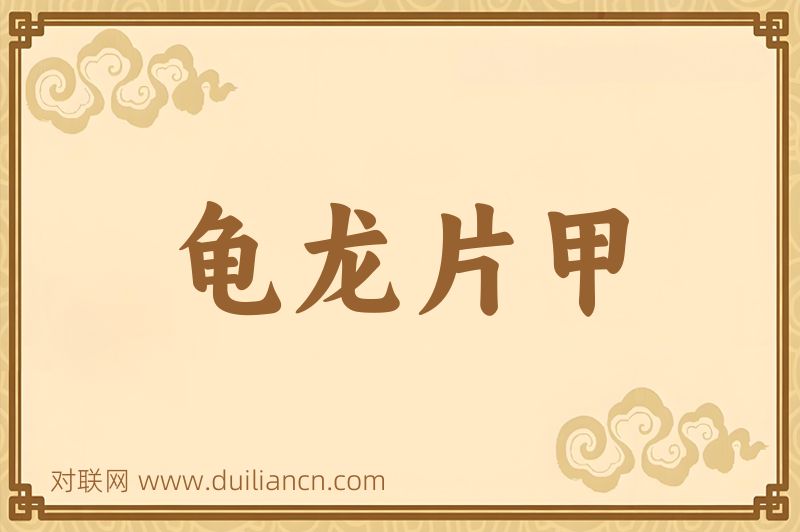 龟龙片甲词语的意思