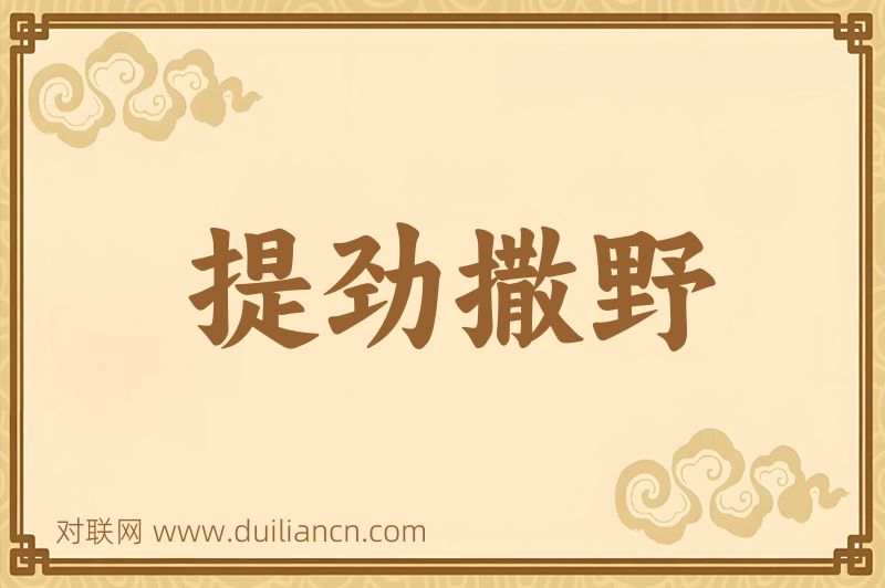 提劲撒野词语的意思