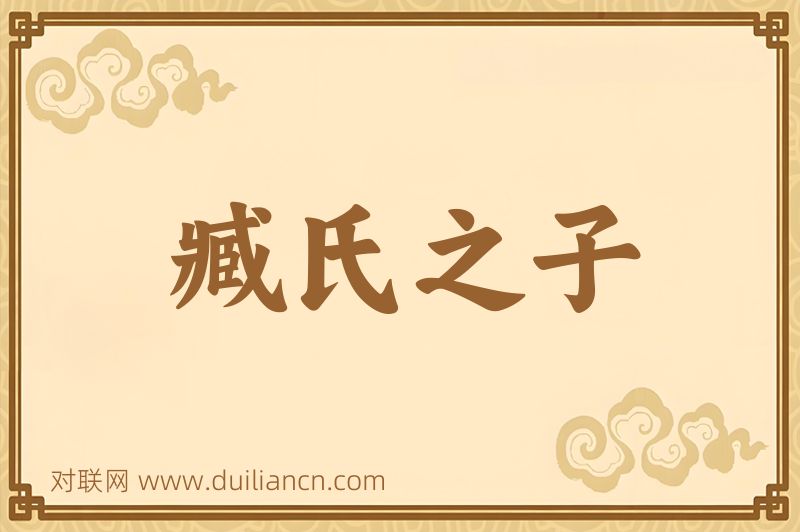 臧氏之子词语的意思