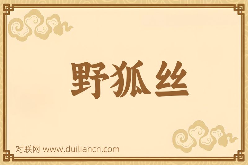 野狐丝词语的意思