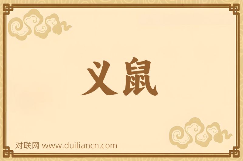 义鼠词语的意思