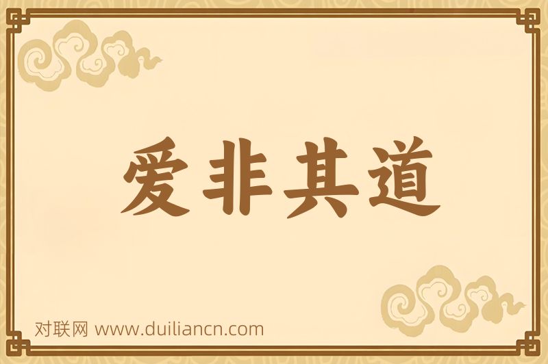 爱非其道词语的意思