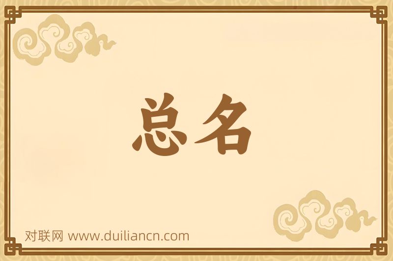 总名词语的意思