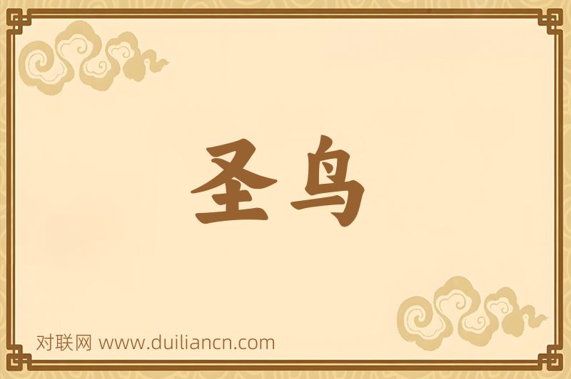 圣鸟词语的意思