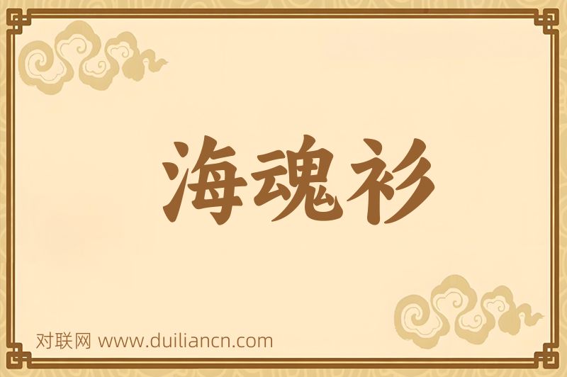 海魂衫词语的意思