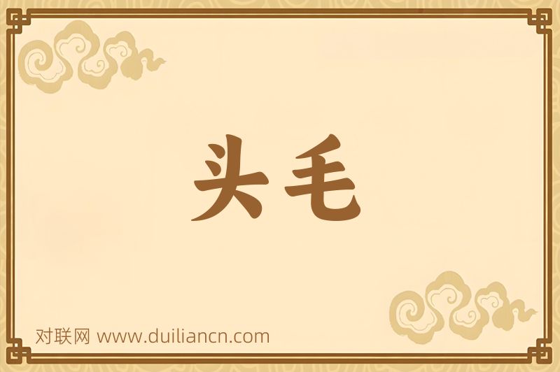 头毛词语的意思