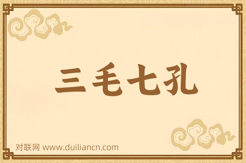 三毛七孔词语的意思