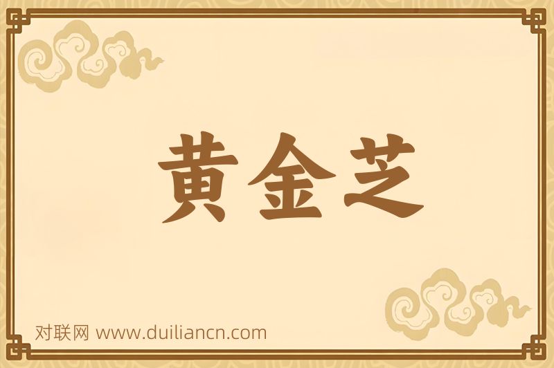 黄金芝词语的意思
