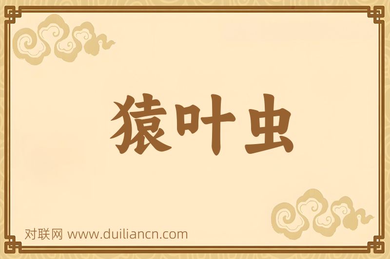 猿叶虫词语的意思