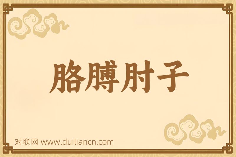 胳膊肘子词语的意思