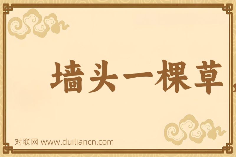 墙头一棵草,风吹两边倒词语的意思