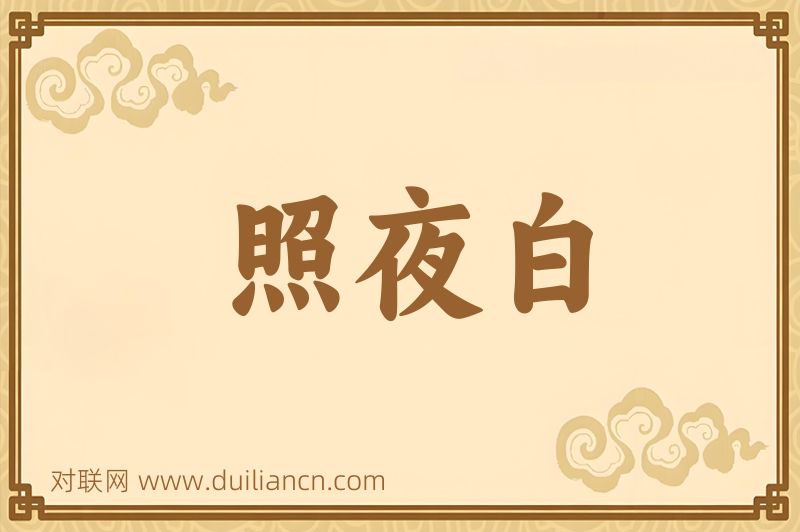 照夜白词语的意思