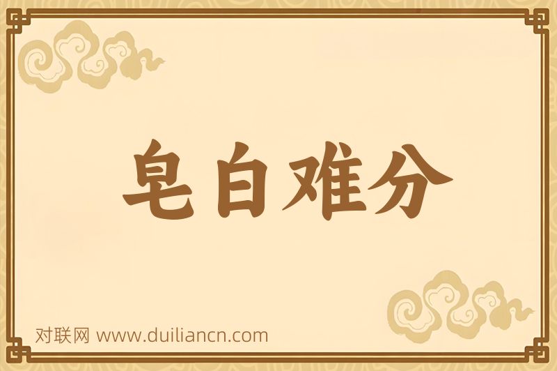 皂白难分词语的意思