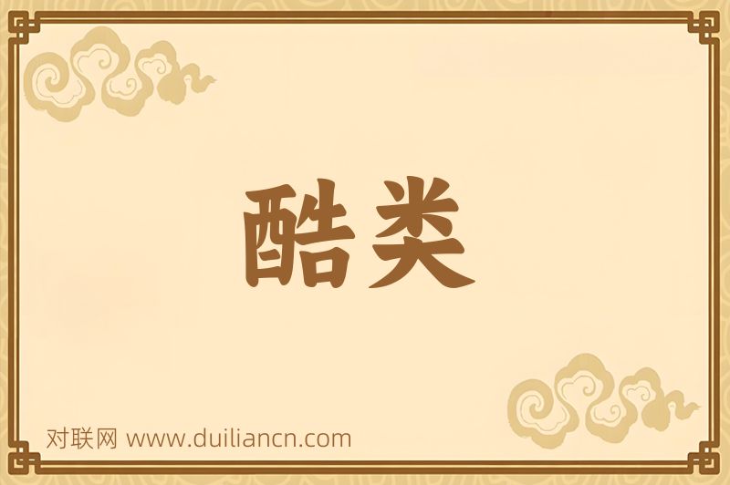 酷类词语的意思