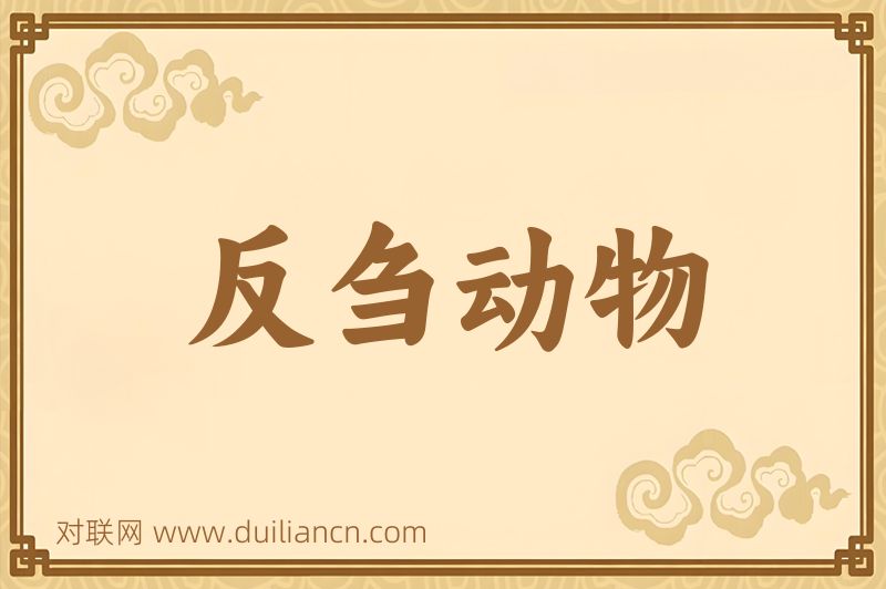 反刍动物词语的意思