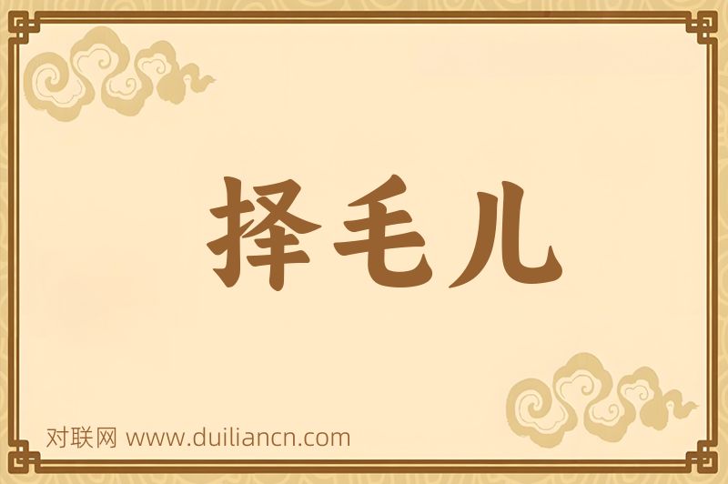 择毛儿词语的意思