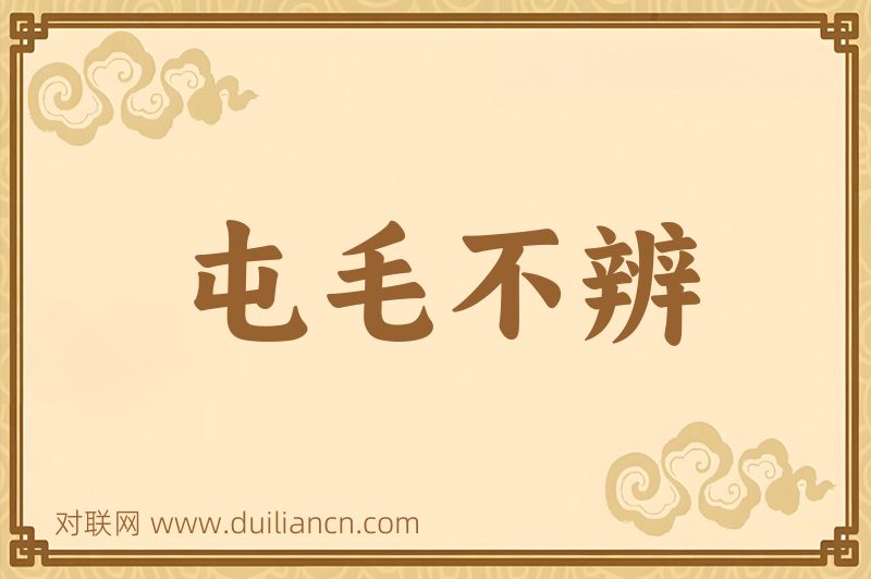 屯毛不辨词语的意思