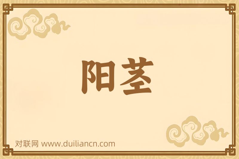 阳茎词语的意思