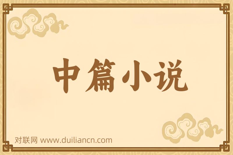 中篇小说词语的意思