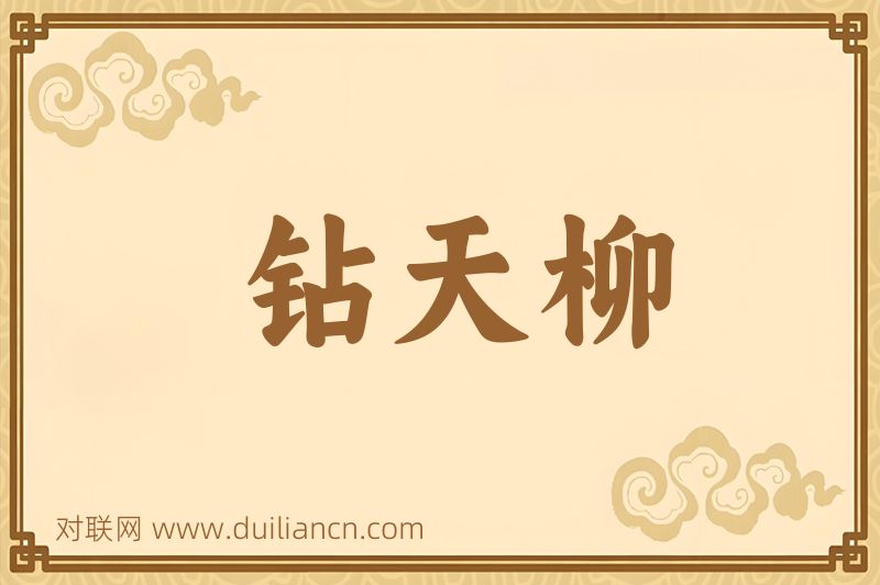 钻天柳词语的意思