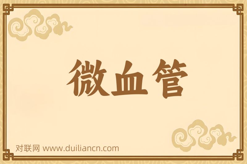 微血管词语的意思