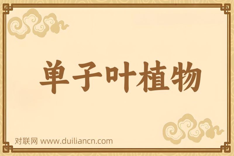单子叶植物词语的意思