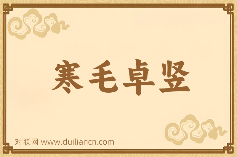 寒毛卓竖词语的意思