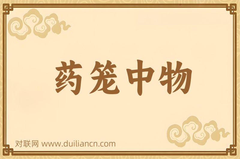 药笼中物词语的意思