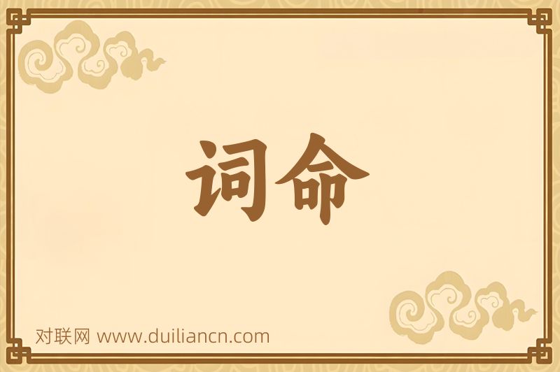 词命词语的意思