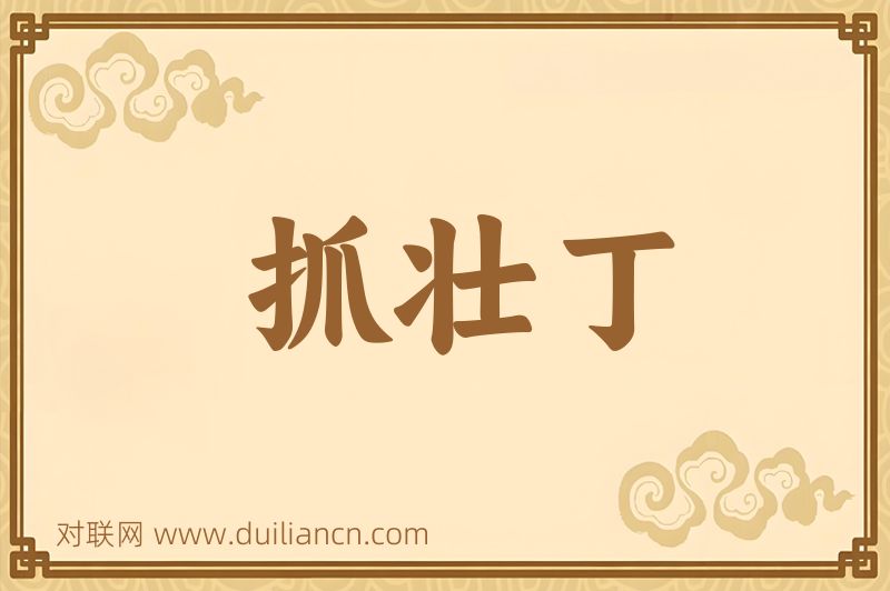 抓壮丁词语的意思