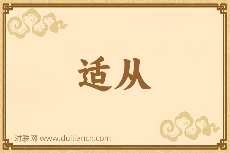 适从词语的意思