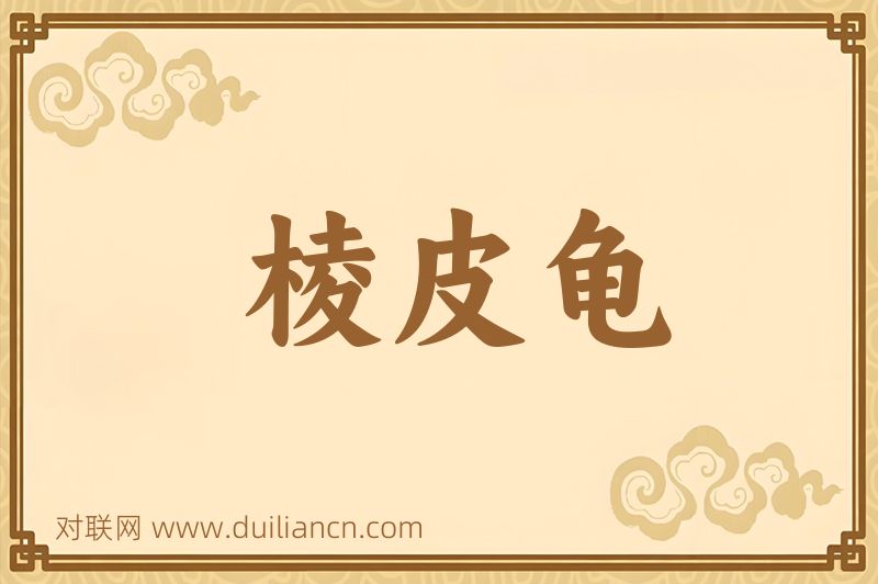 棱皮龟词语的意思