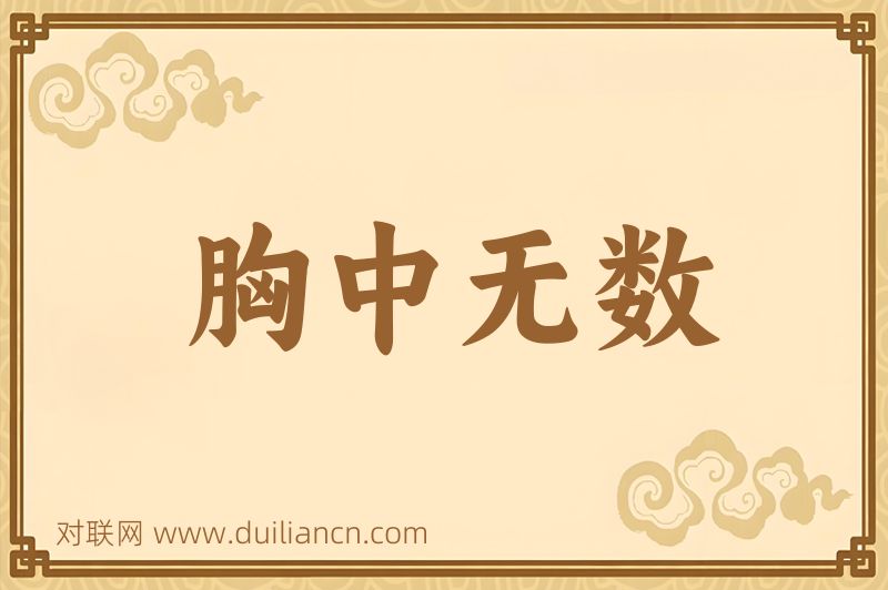 胸中无数词语的意思
