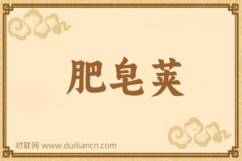 肥皂荚词语的意思