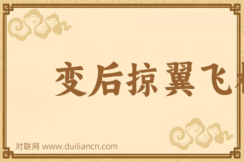 变后掠翼飞机词语的意思