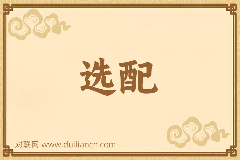 选配词语的意思