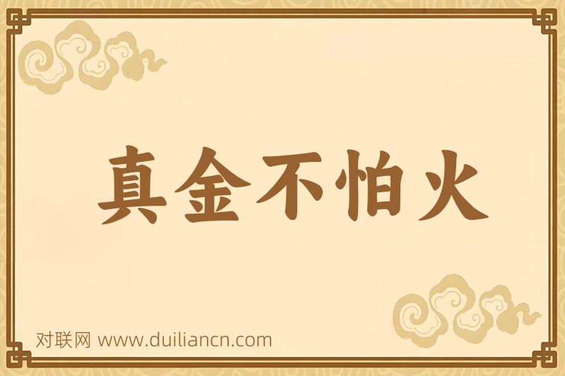 真金不怕火词语的意思