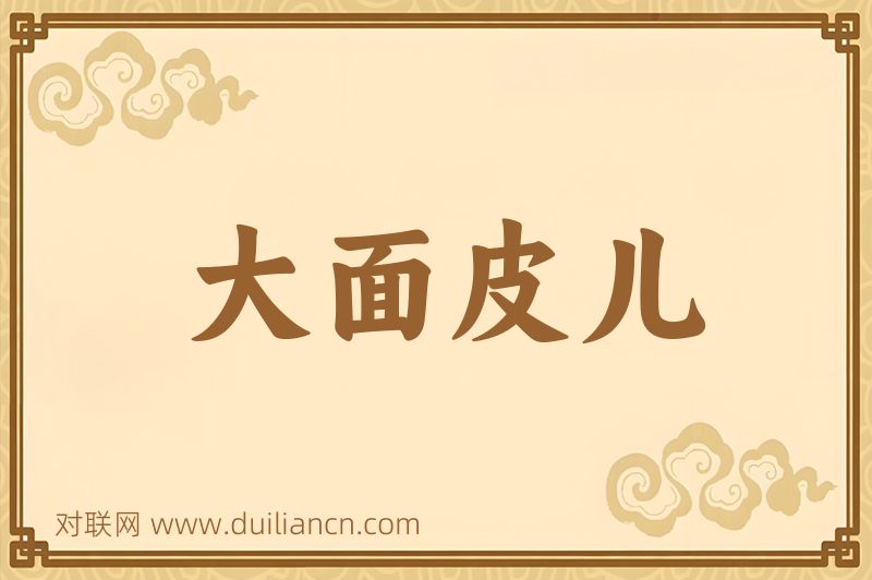 大面皮儿词语的意思
