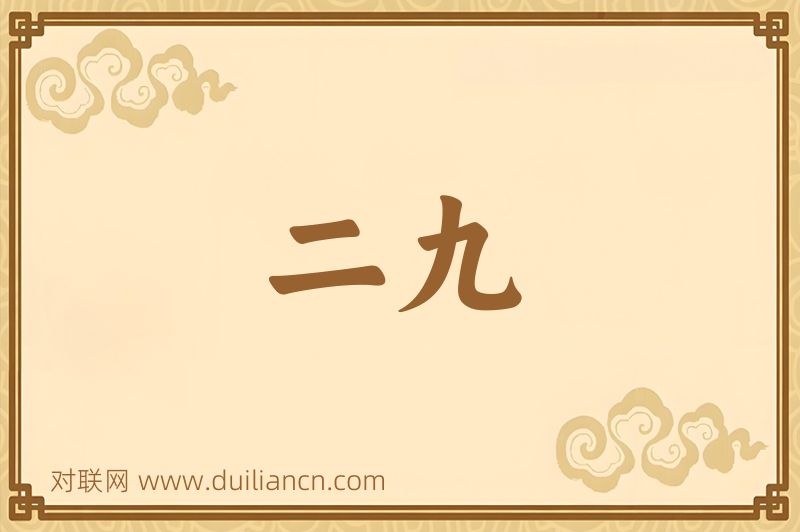 二九词语的意思