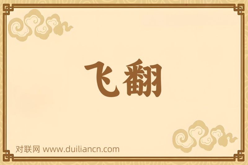 飞翻词语的意思