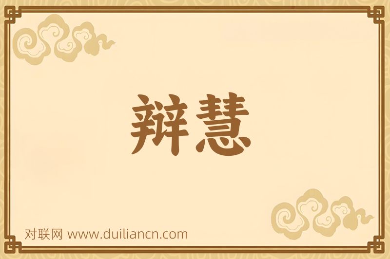 辩慧词语的意思