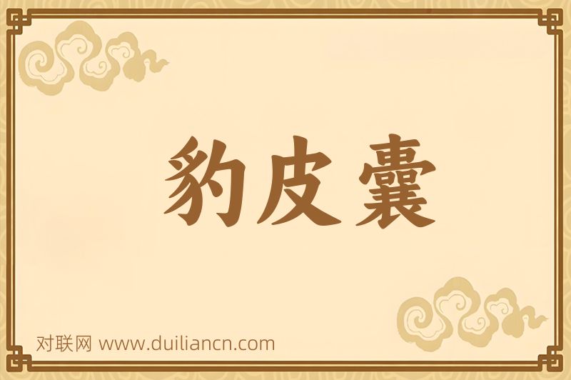 豹皮囊词语的意思