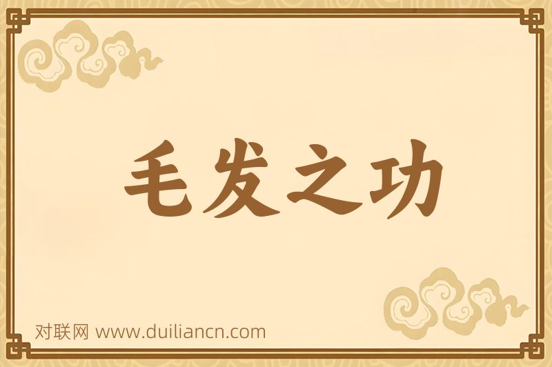 毛发之功词语的意思