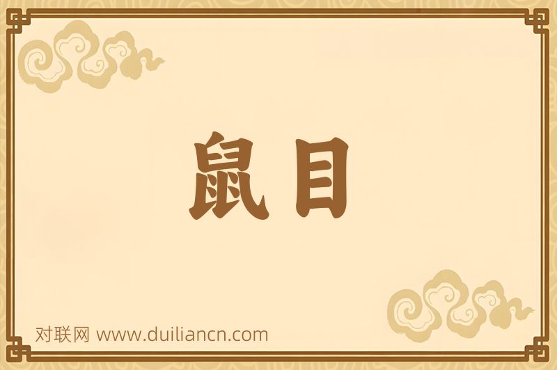 鼠目词语的意思