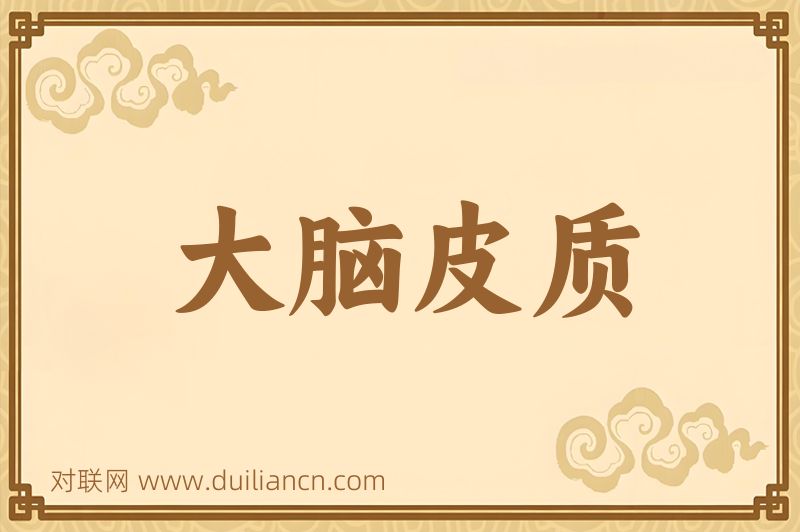 大脑皮质词语的意思