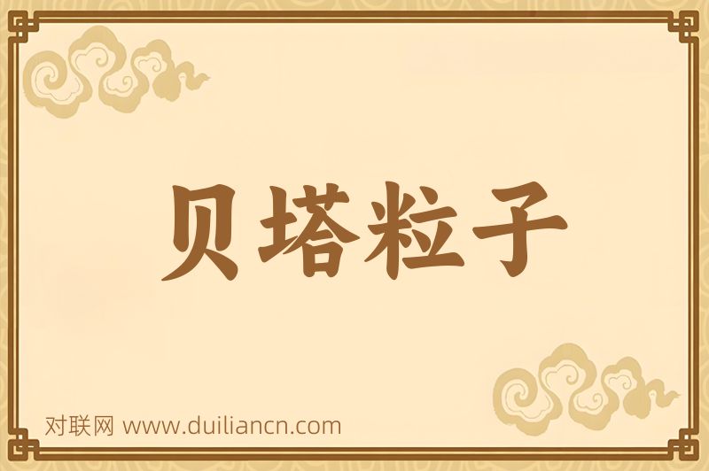 贝塔粒子词语的意思