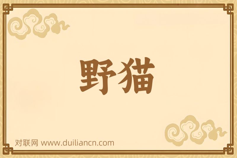 野猫词语的意思