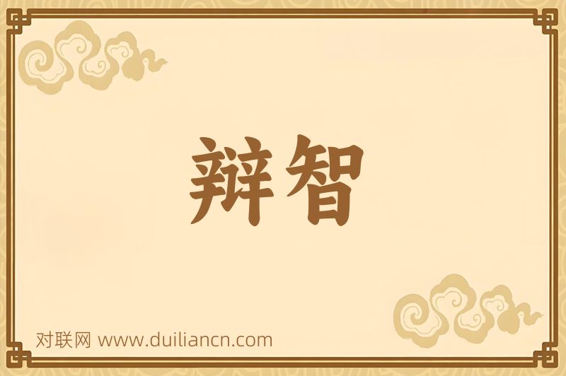 辩智词语的意思